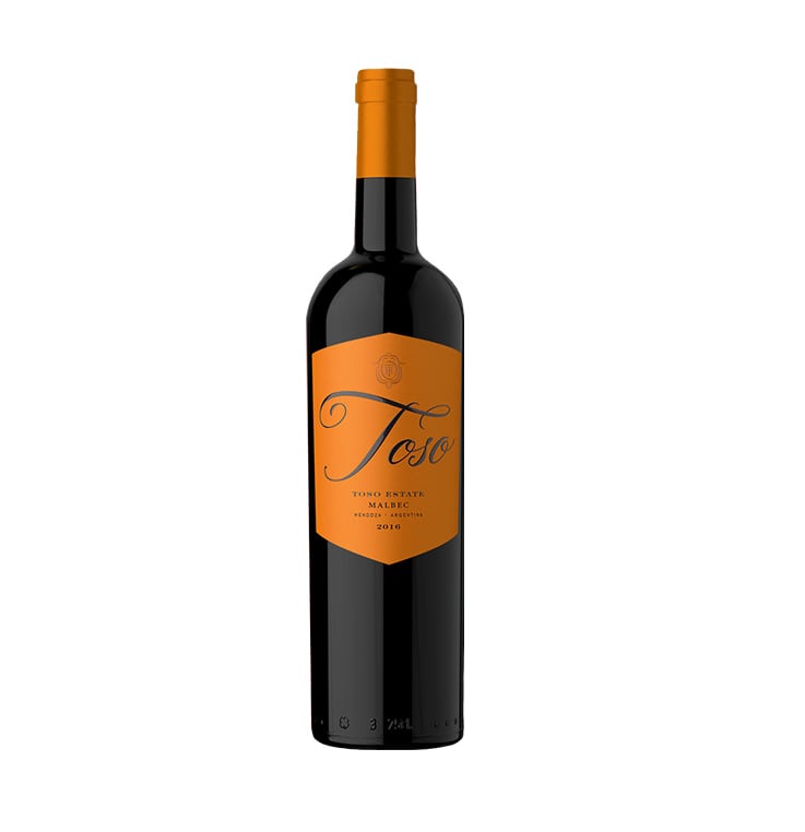 Malbec Pascual Toso 2020 Mendoza Argentina AWARD WINNER 